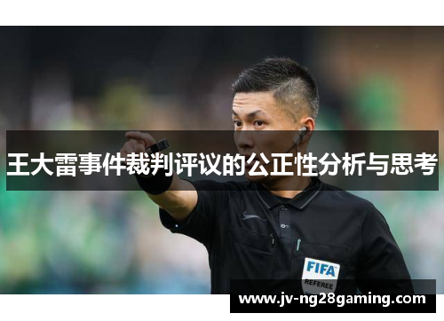 王大雷事件裁判评议的公正性分析与思考